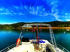 Boat Rentals